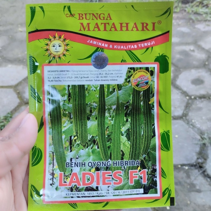 Benih Gambas Oyong LADIES 10 gram Biji Bibit Cap Bunga Matahari