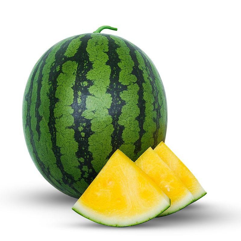 50 BIJI BENIH SEMANGKA KUNING NON BIJII