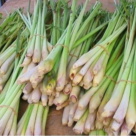 

promo sereh atau serai segar 500 gr