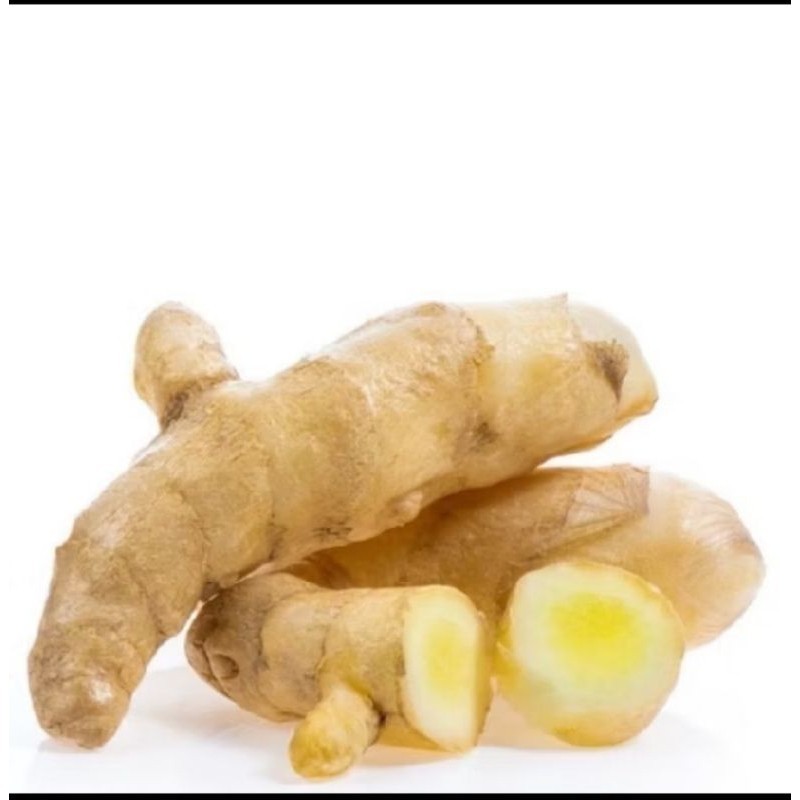 

Kunyit putih /kunyit kunir putih /temu putih segar asli ready stok