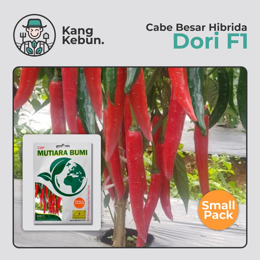Benih Cabe Besar Dori F1 Small Pouch isi 80 biji Cap Mutiara Bumi