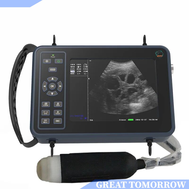 GT Alat USG Hewan Ternak USG Kambing Domba Babi High Definition Portable Animal Ultrasound Machine P