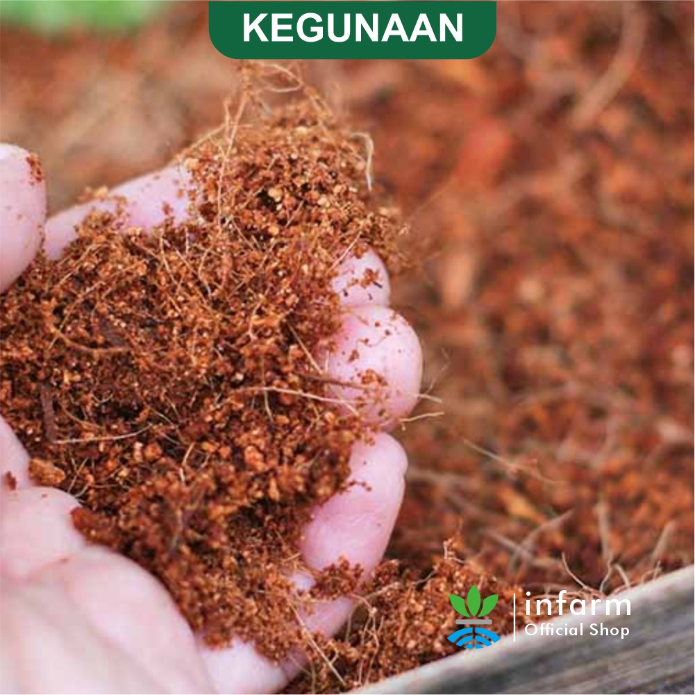 INFARM – Cocopeat Block 1KG Media Tanam Sabut Kelapa Halus Organik