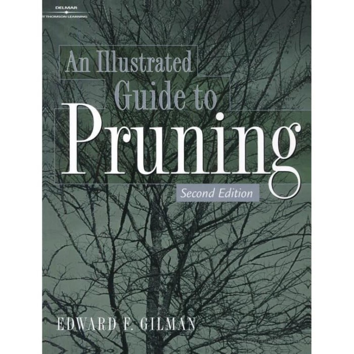 An illustrated guide to pruning