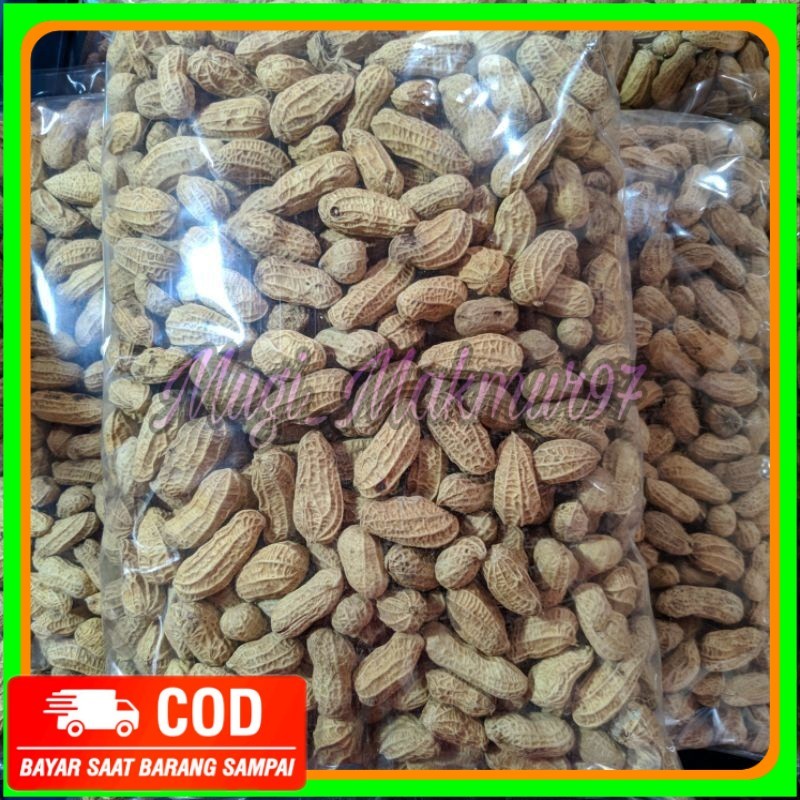 

kacang kulit sangrai 1kg kacang kulit bakar