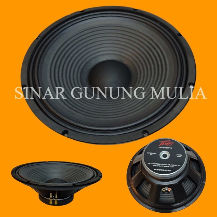 speaker peavey 15 inch pro rider 15 fullrange
