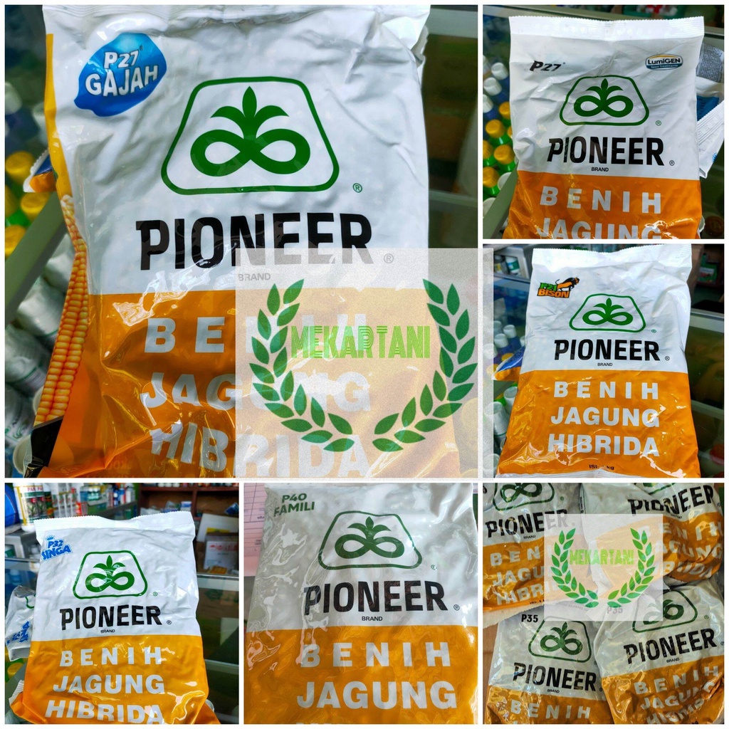 Benih jagung p35 1kg p32 singa 1kg p21 bison 1kg p40 famili 1kg p27 1kg p27 lumigen 1kg/BENIH JAGUNG