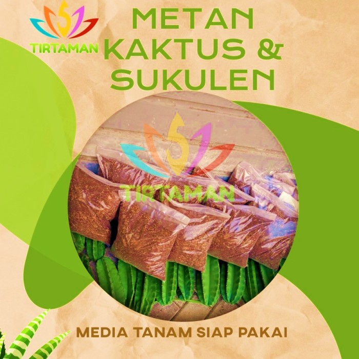 Media Tanam Siap Pakai Sukulen Kaktus