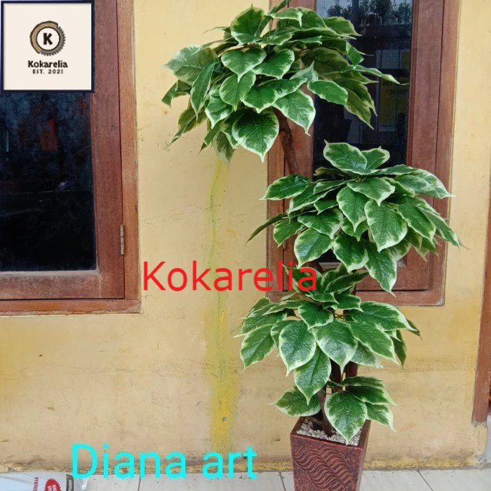pohon bonsai#pohon sinfu#pohon plastik/tanaman palsu