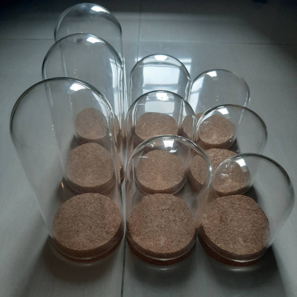 

COD Glass Dome Bunga Kering Preserved Rose Flower