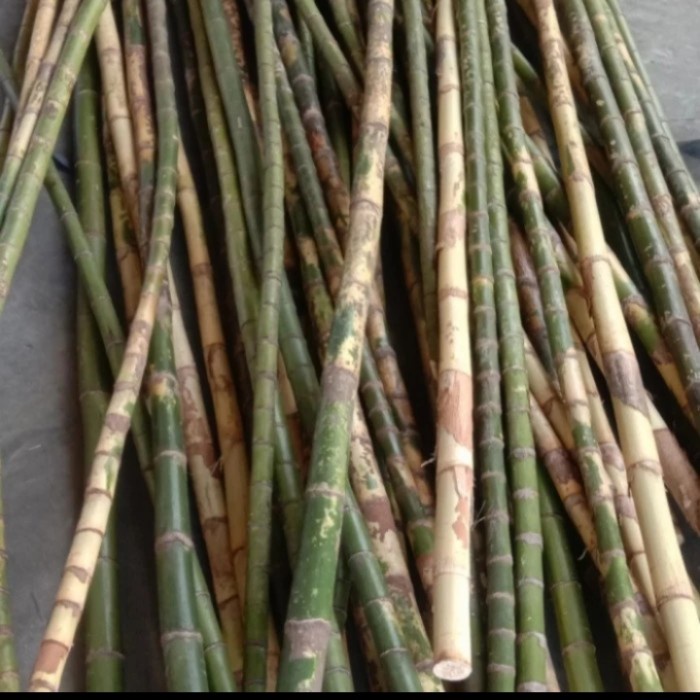 batang palem palem waregu alat kerajinan joran pancing super kuat panjang 80cm
