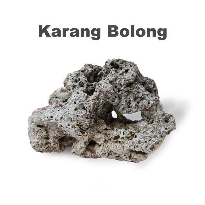 Karang Bolong / Batu / Stone Aquascape Aquarium 1Kg