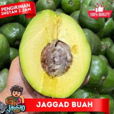 

BUAH ALPUKAT MENTEGA ASLI BATU MALANG 1KG DAPAT 2-3 BIJI. LANGSUNG DARI PETANI FULL GARANSI JAGGAD FRUIT