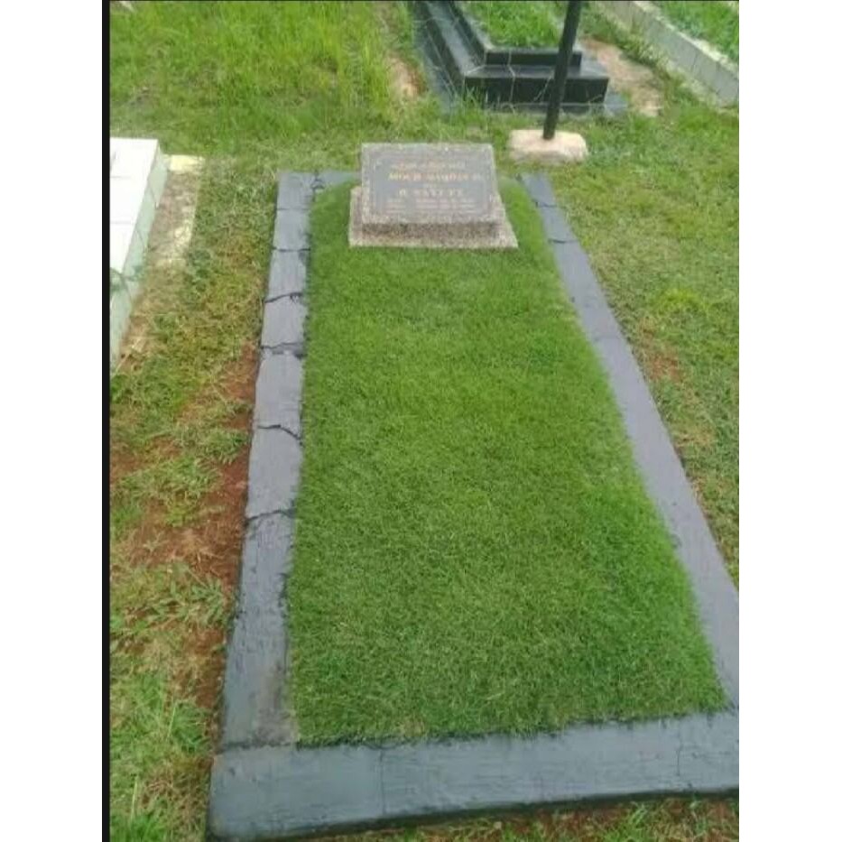 benih rumput Jepang jual untuk paket  satu makam/kuburan