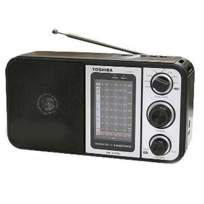 Radio Portable Toshiba USB AM FM TY HRU 30