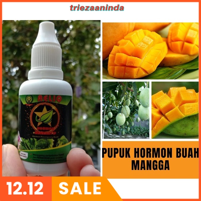 Hormon Buah ga3, Pupuk Hormon Organik Bunga dan Buah Mangga