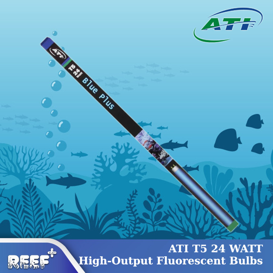 ATI T5 24 Watt Lampu Aquarium High Output Light Bulb - Blue Plus