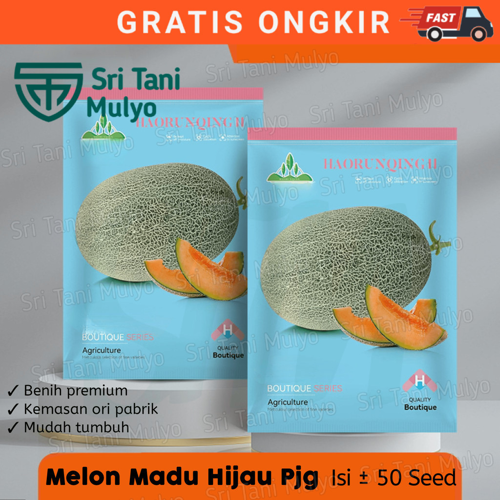 OM - BENIH MELON MADU HIJAU PANJANG BERKUALITAS KEMASAN PABRIK-BIBIT MELON