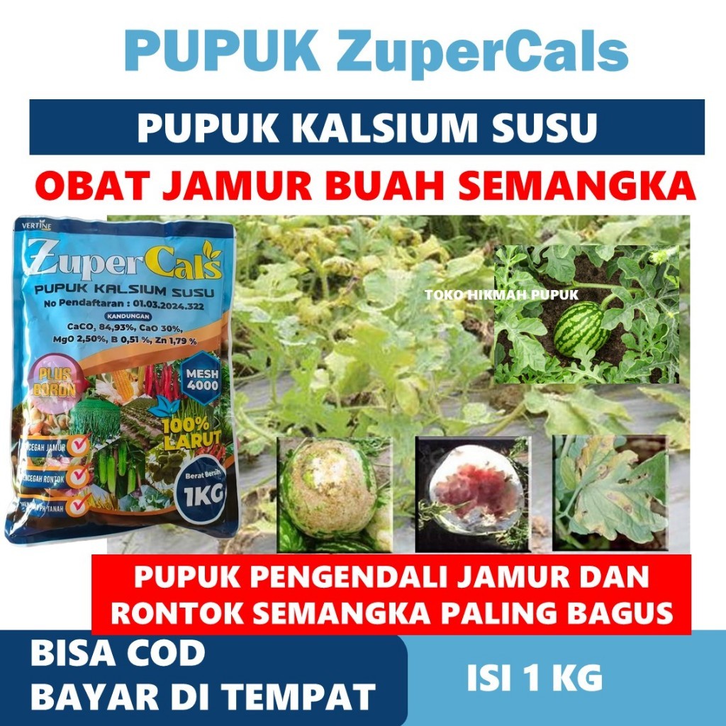 PROMO PUPUK SEMANGKA ZUPER CALS 1 KG MENGATASI JAMUR BUAH SEMANGKA PALING BAGUS - Obat Kalsium Tanam