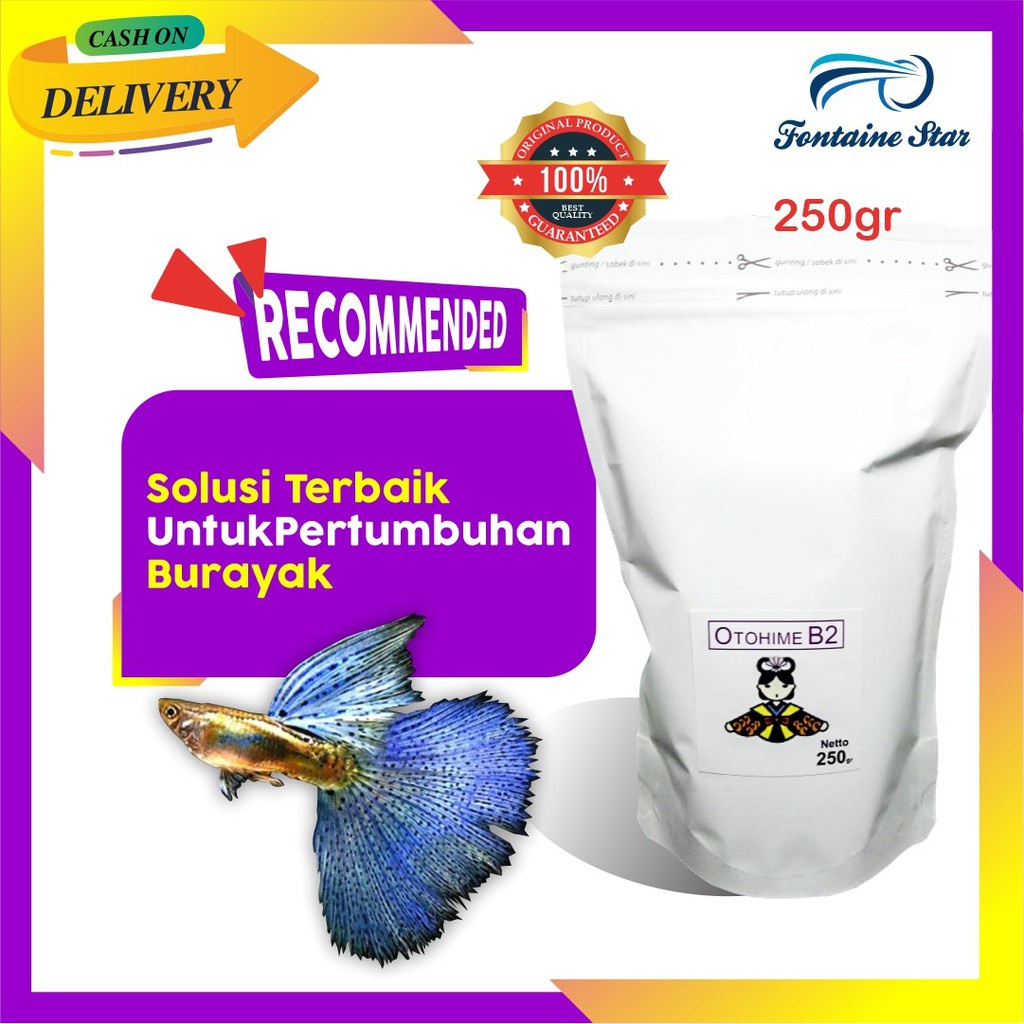 

otohime b2 (250gram)