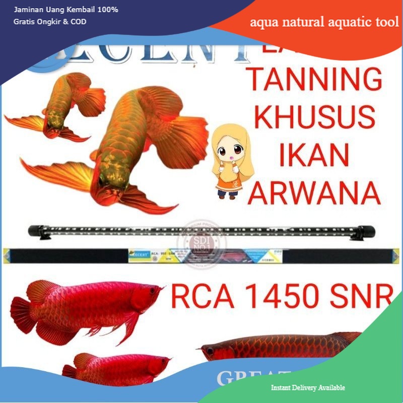 LAMPU TANNING AQUARIUM RECENT RCA 1450 SNR