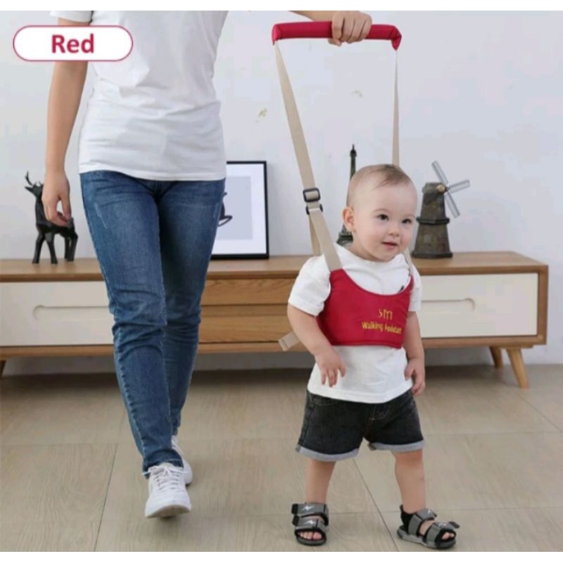 BLUETOYS ALAT BELAJAR JALAN UNTUK BAYI DAN ANAK/MAINAN ANAK & BALITA