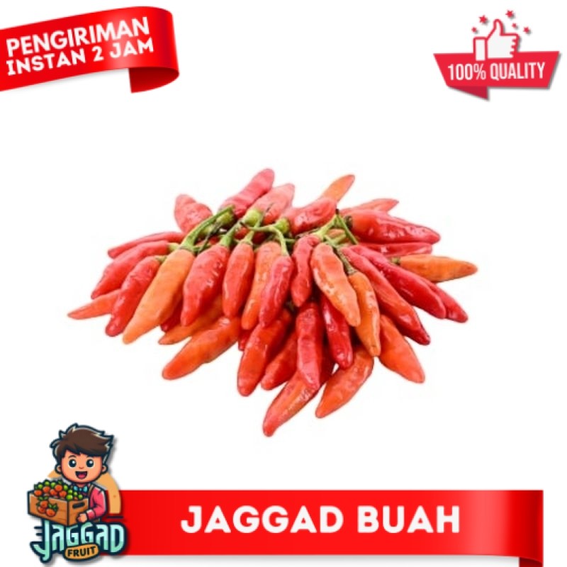 

cabe rawit merah Super Extra Pedas Murah 1kg Fresh/cabe J4bl4y JAGGA FRUIT