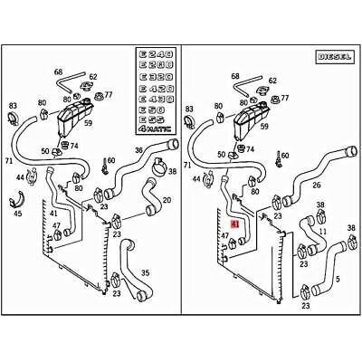 Selang radiator-tabung radiator E230/E320 (W210)
