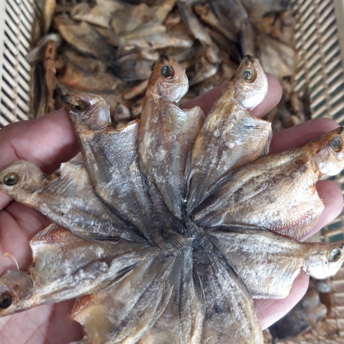 

ikan asin sepat kecil 100 gram