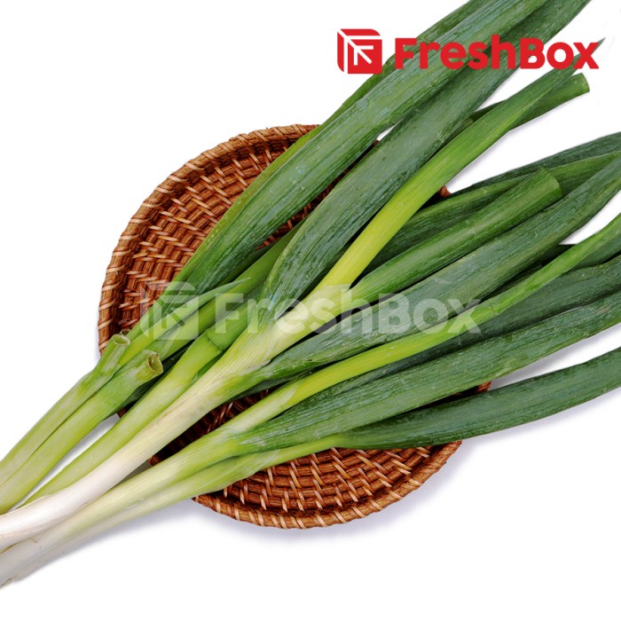 

Daun Bawang Besar 250gr