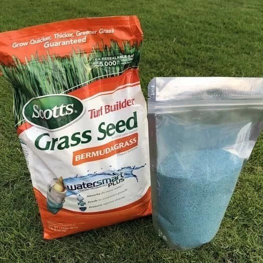 biji rumput bermuda 5lbs - bibit rumput bermuda - benih rumput bermuda