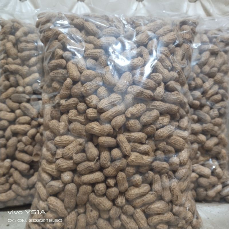 

KACANG KULIT SANGRAI MADURA Super Enak gurih renyah 1kg