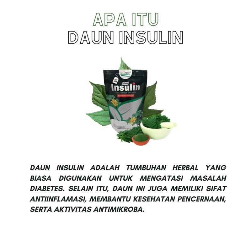 

Jamu Herbal Daun Insulin | Teh Celup Daun insulin Murni Asslami Pouch | Diabetes Melawan radikal bebas, Mengatasi hipertensi, menjaga kesehatan tubuh, dll Terlaris