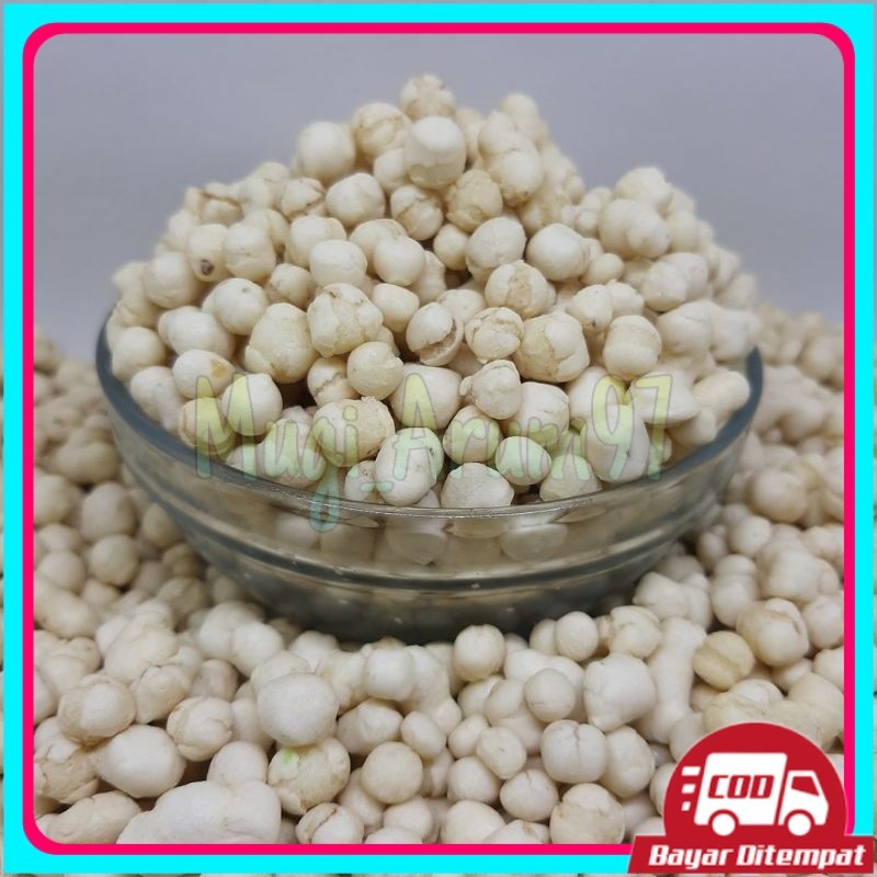 

1kg pilus kencur premium