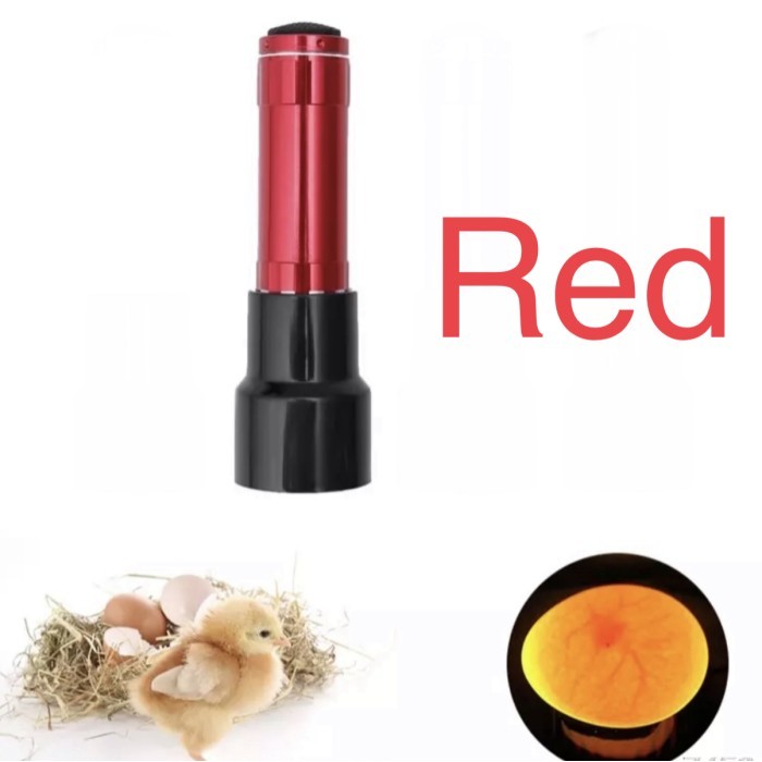 Red Senter Teropong Cek Telur Ayam Bebek Angsa Unggas Incubator Egg HS