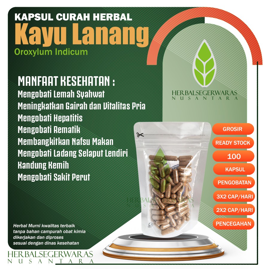 KAYU LANANG 100 Kapsul Curah Bahan Herbal Tradisional