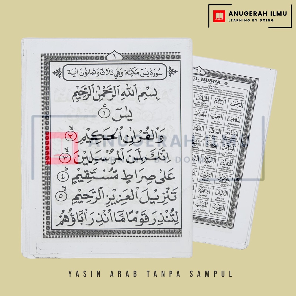 Surat Yasin Arab Kecil Anugerah / Suroh Yaasiin / Surah Yaasiin / Tanpa Sampul / GUDANG BUKU MURAH