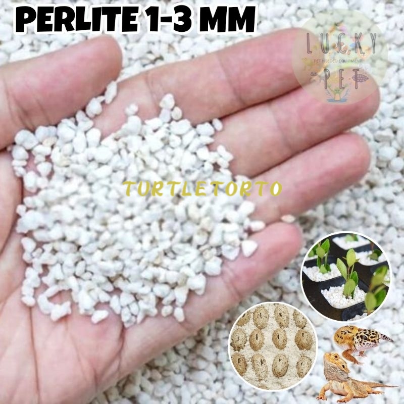 PERLITE 1 KG 500 GR media tanam tanaman alas substrate substrat media penetasan telur reptil gecko t