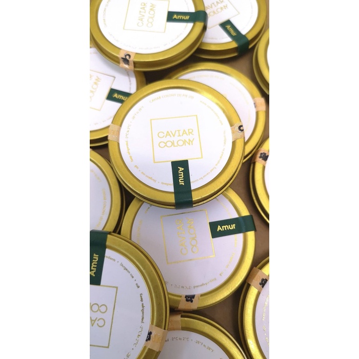 

Kaviari Transmontanus Caviar White Sturgeon Acipenser Roes| Telur Ikan - Caviar Colony, Kaluhybrid 50g