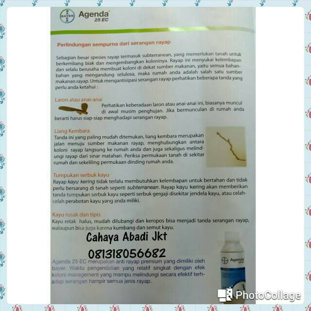 Anti Rayap Agenda 25EC / Anti Rayap Agenda 100ml