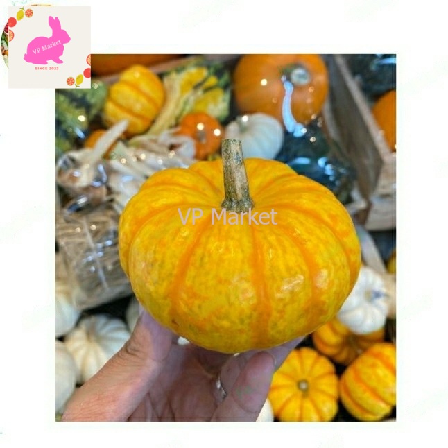 

Pumpkin Mini Halloween | Labu Hallowen Mini | Pumpkin Hallowen 1 pcs