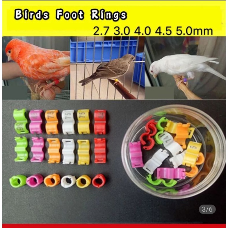 RING BIRD CLIP RING BURUNG DEWASA KENARI MURAI LOVEBIRD PERKUTUT ANIS