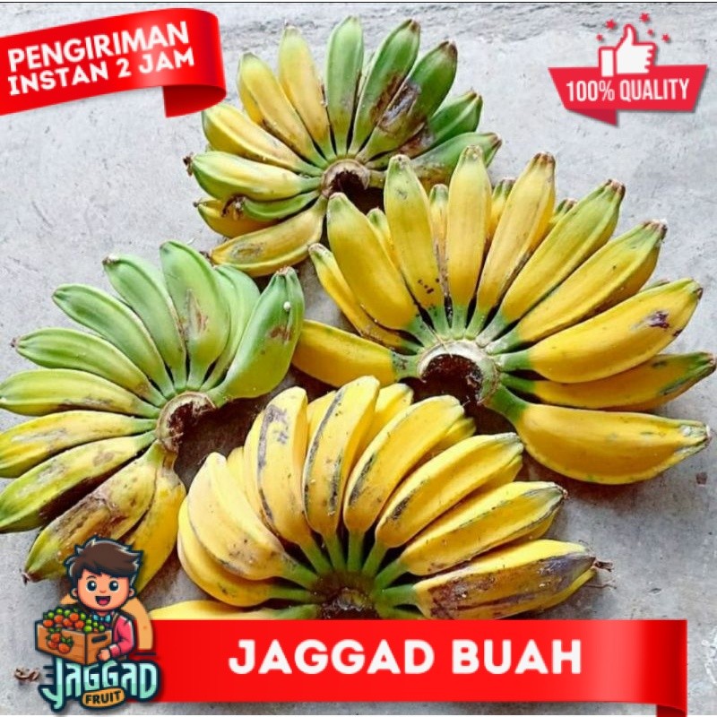 

pisang kepok kuning 1 sisir gedung kepok JAGGAD FRUIT