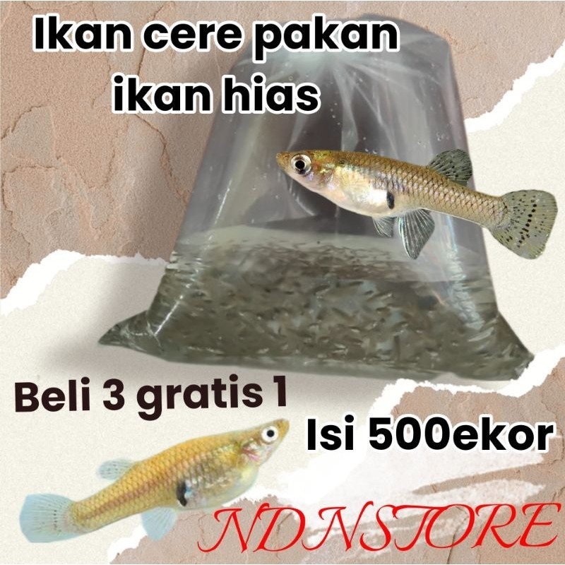 ikan cere air tawar seteril hidup pakan ikan predator beli 3 gratis 1 ,cahana,ikan naga,ikan arwana,