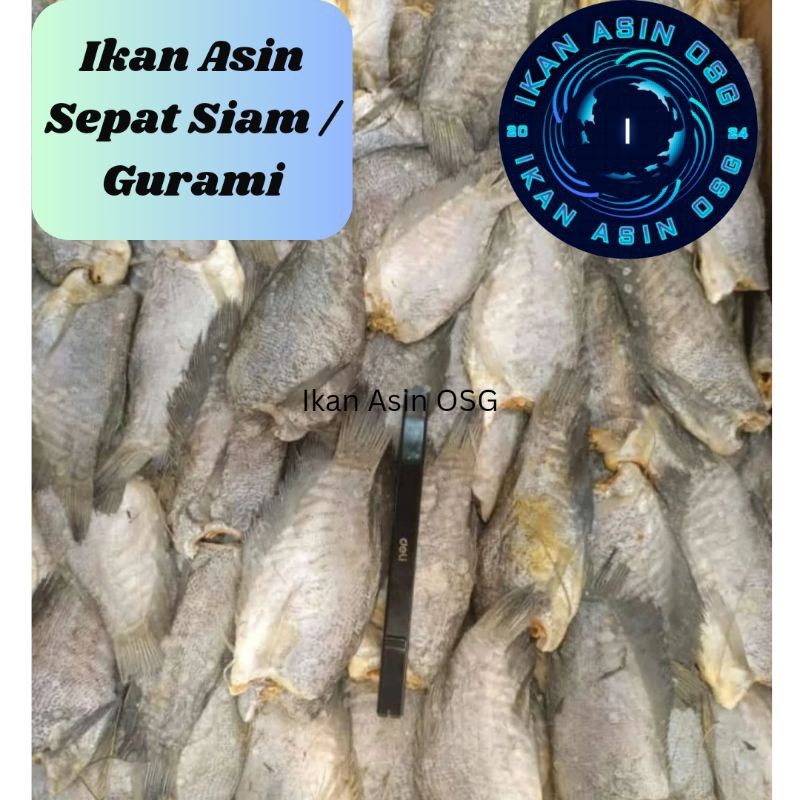 

IKAN ASIN SEPAT SIAM/GURAMI/IMPORT KUALITAS NO1