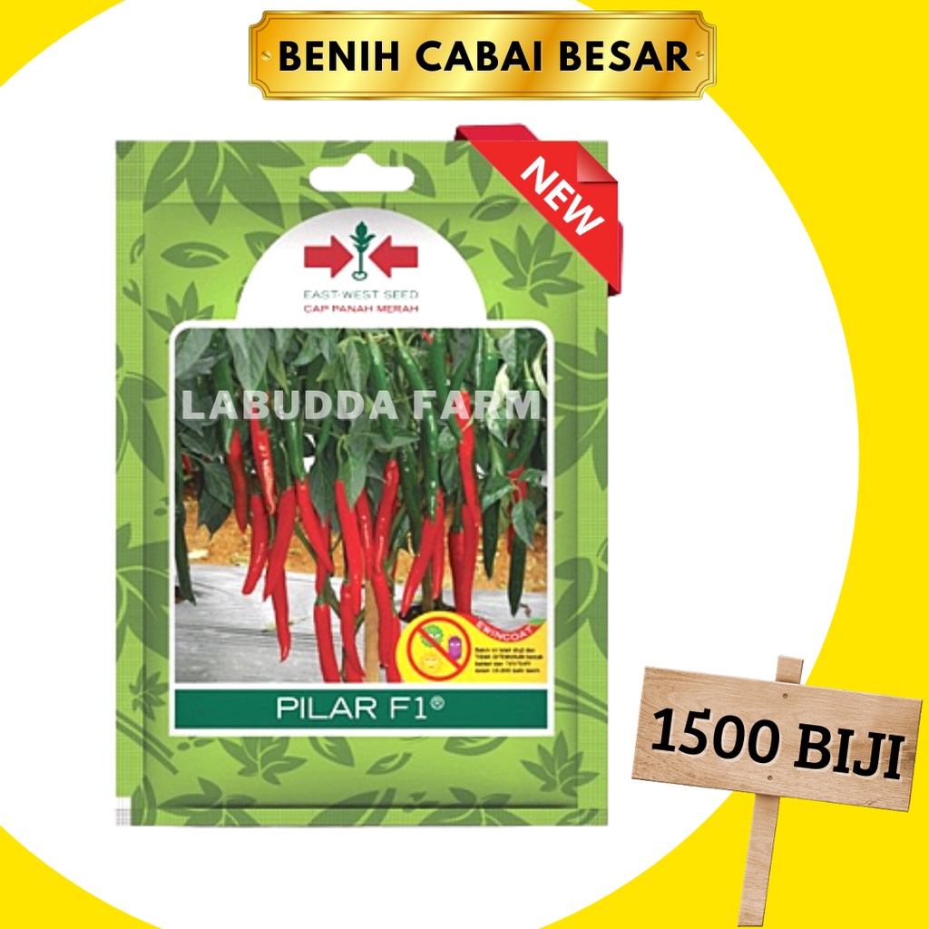 Bibit Cabe Merah Besar Cabe Pilar 1500 Butir Original Kemasan Pabrik - Benih Cabe Besar - Bibit Cabe