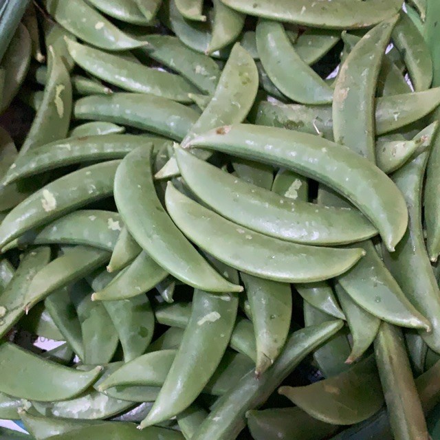 

kapri manis