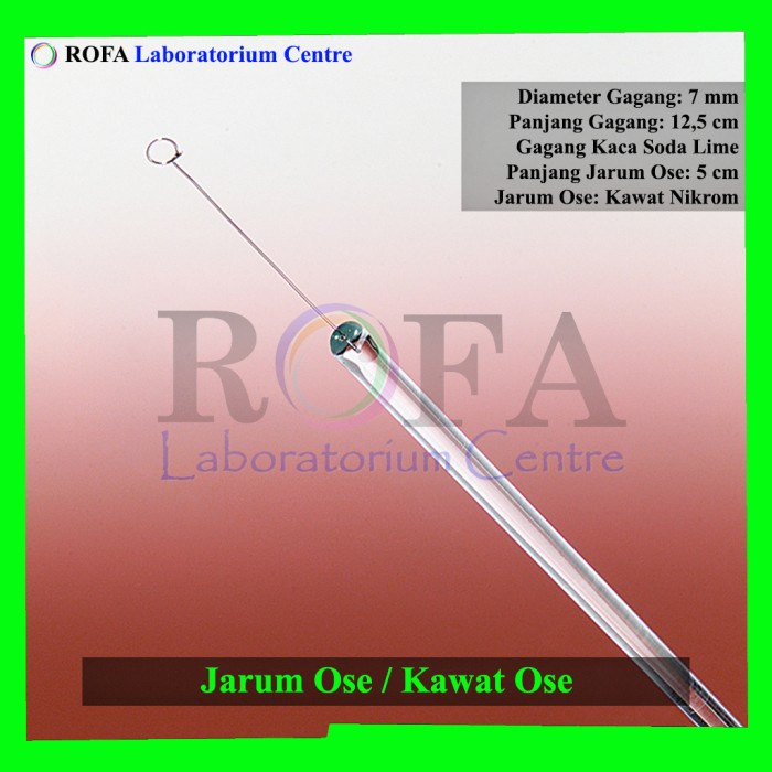 Jarum Ose / Kawat Ose / Jarum Inokulasi / Kawat Inokulasi