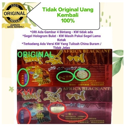 Semut Afrika / Kapsul Semut / Semut Hitam Original / Black Semut Ant Hitam 18 Kapsul