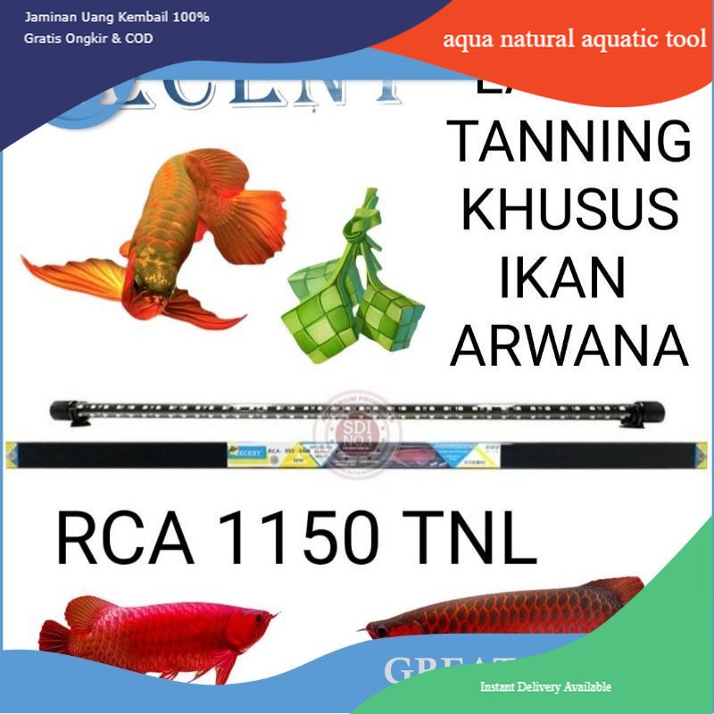 LAMPU TANNING AQUARIUM RCA 1150 TNL RECENT